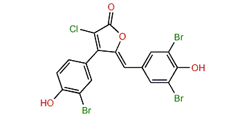 Rubrolide I